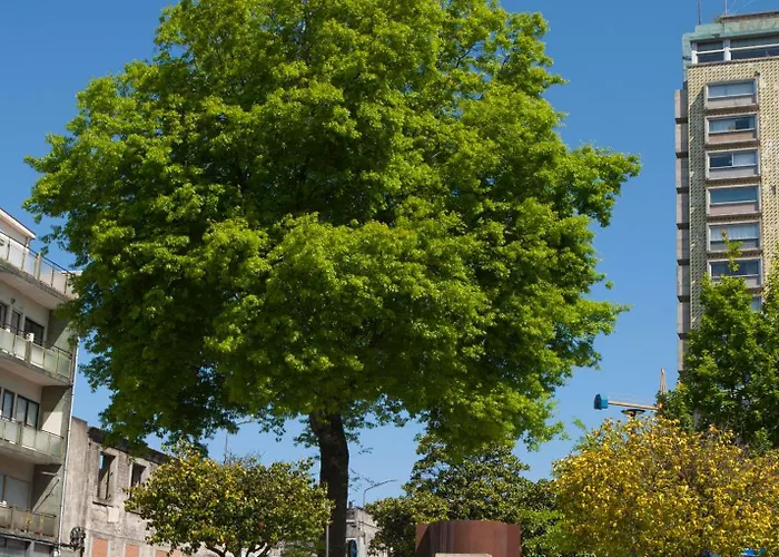 Azulejos Loft, By Flat In